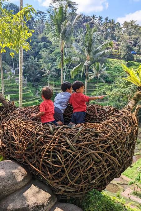 Ubud tour
